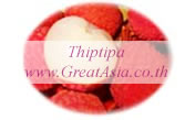 lychee