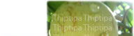 unripe mangosteen
